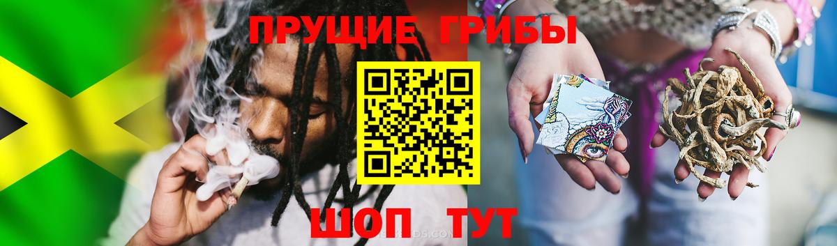 Галлюциногенные грибы мицелий Югорск